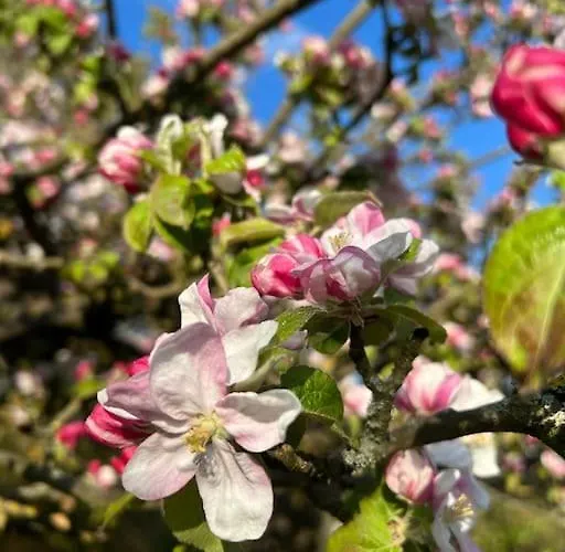 Schoene Helle Dg In Der Altstadt Schwerin (Mecklenburg-Vorpommern)